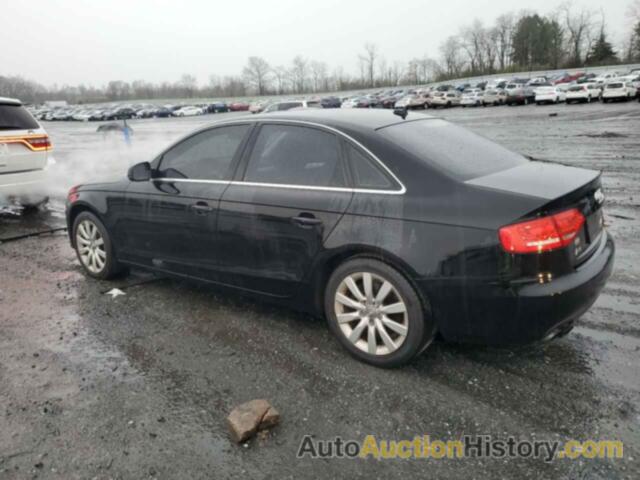 AUDI A4 PREMIUM PLUS, WAUFFAFL5BN042943