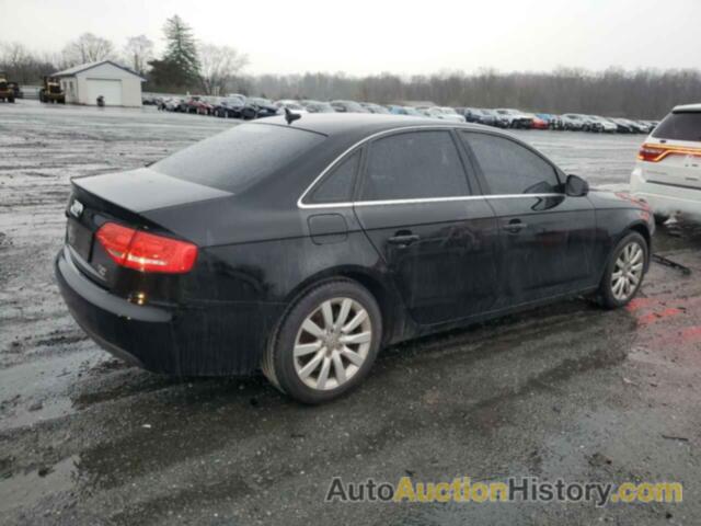 AUDI A4 PREMIUM PLUS, WAUFFAFL5BN042943