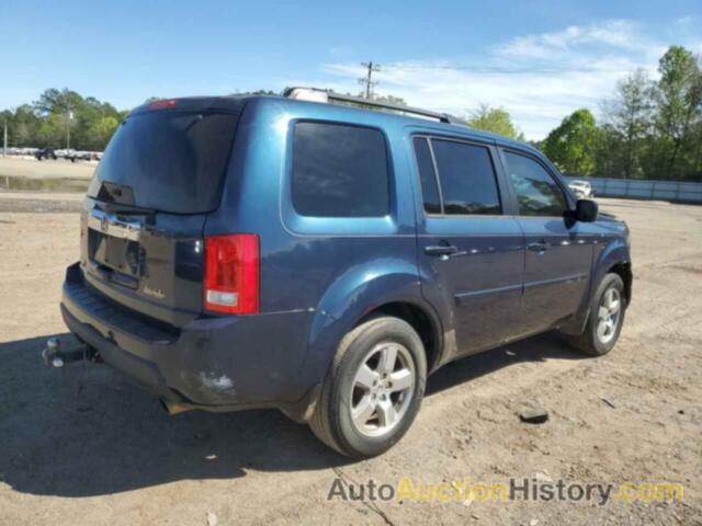 HONDA PILOT EXL, 5FNYF3H69BB014155