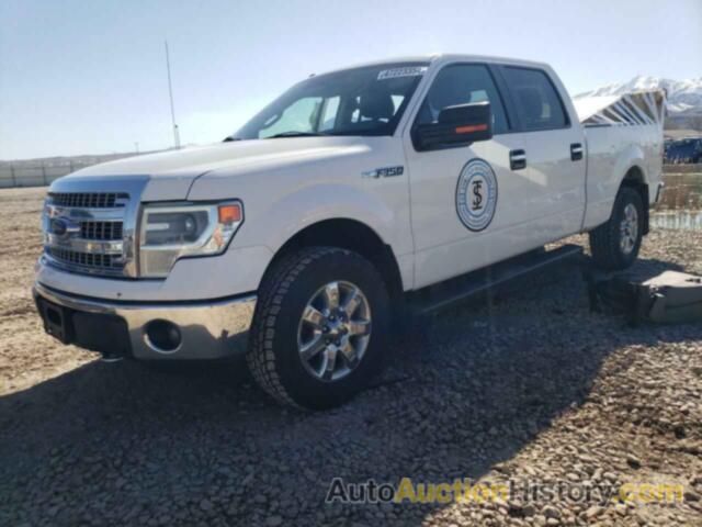 FORD F-150 SUPERCREW, 1FTFW1EF8EFC44379