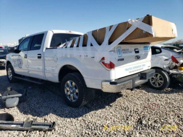 FORD F-150 SUPERCREW, 1FTFW1EF8EFC44379