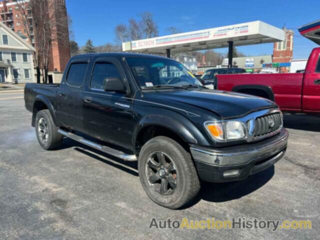 TOYOTA TACOMA DOUBLE CAB, 5TEHN72N91Z841399