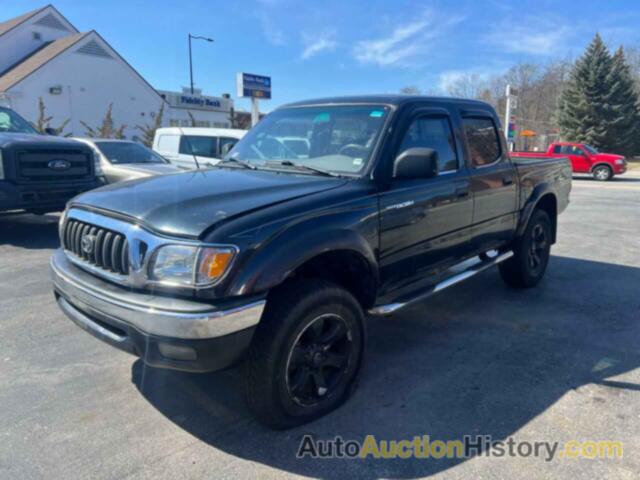 TOYOTA TACOMA DOUBLE CAB, 5TEHN72N91Z841399