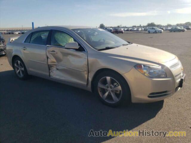 CHEVROLET MALIBU 1LT, 1G1ZC5E18BF225627