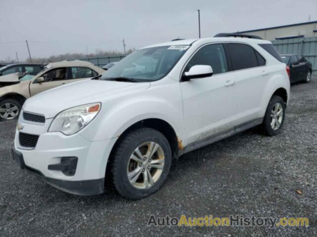 CHEVROLET EQUINOX LT, 2GNFLFEKXE6289831