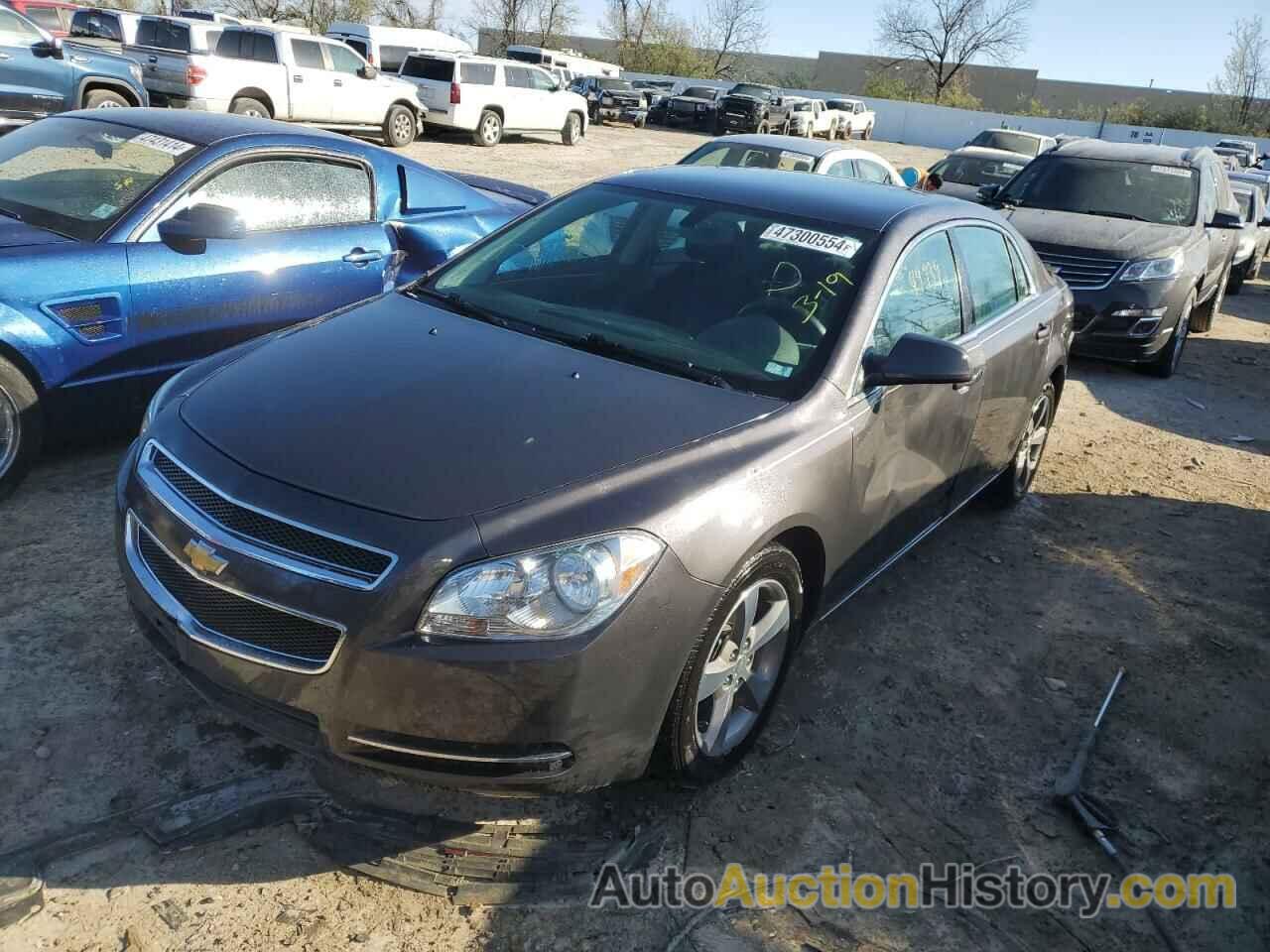 CHEVROLET MALIBU 1LT, 1G1ZC5E18BF254917