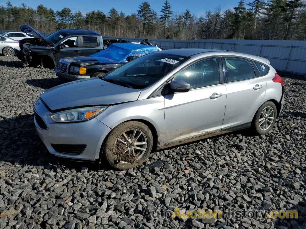 FORD FOCUS SE, 1FADP3K2XGL239955