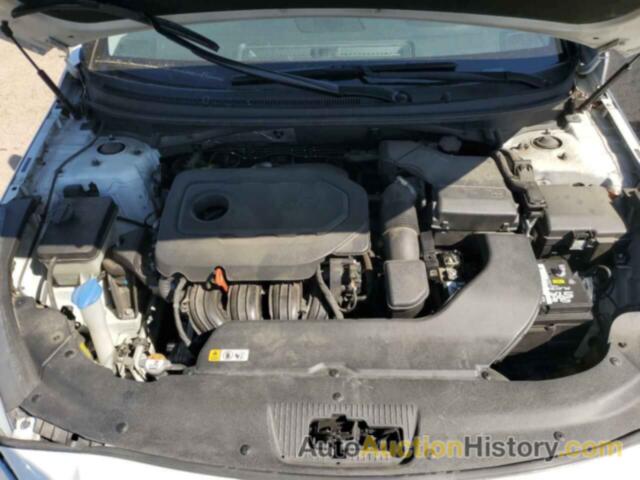 HYUNDAI SONATA SPORT, 5NPE34AF7FH033905