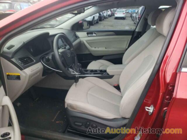 HYUNDAI SONATA SPORT, 5NPE34AF9FH096701