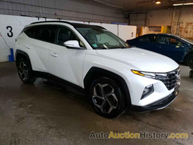 HYUNDAI TUCSON LIMITED, 5NMJECAE8NH063923