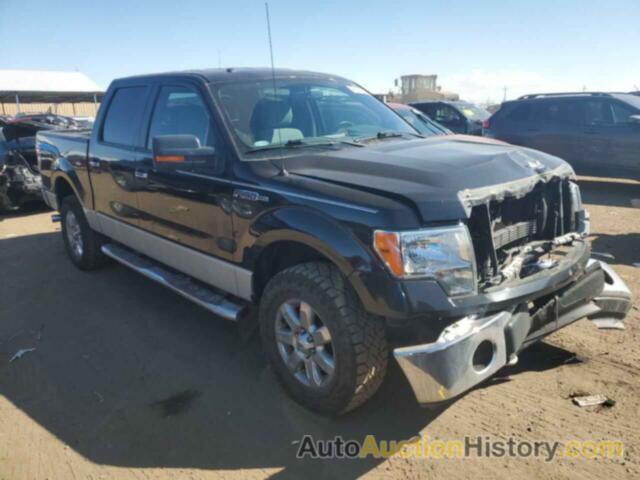 FORD F-150 SUPERCREW, 1FTFW1EF5DKF42054