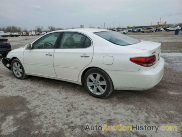 LEXUS ES330 330, JTHBA30G955128184