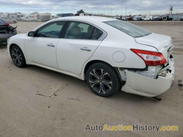 NISSAN MAXIMA S, 1N4AA5AP7BC837278