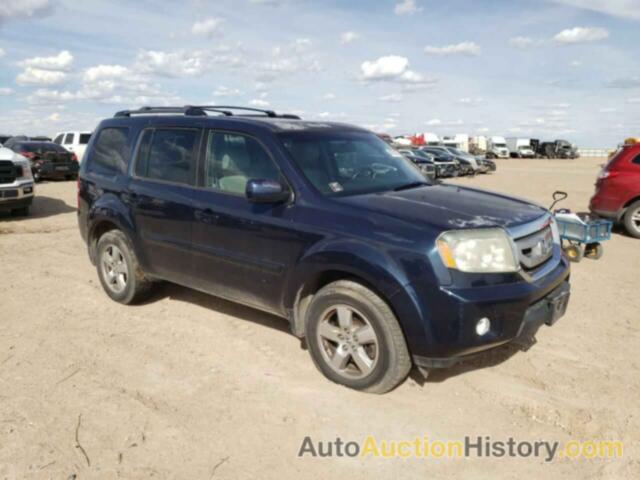 HONDA PILOT EXL, 5FNYF4H54BB094896