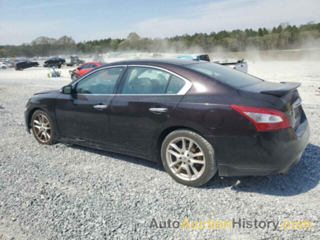 NISSAN MAXIMA S, 1N4AA5AP0BC833590