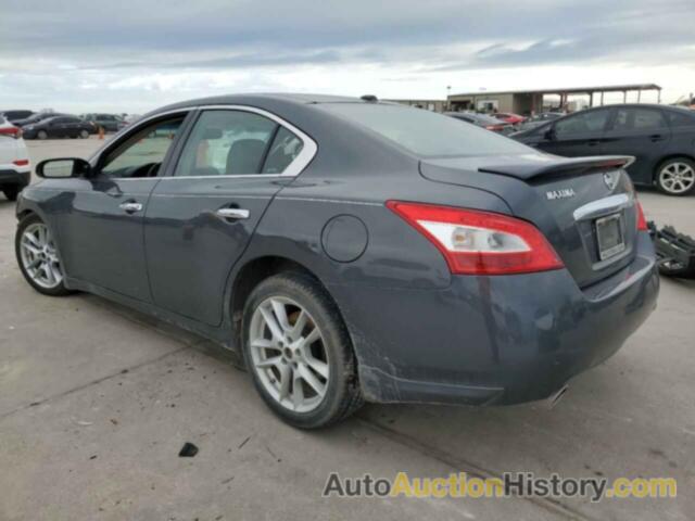 NISSAN MAXIMA S, 1N4AA5AP2BC811655