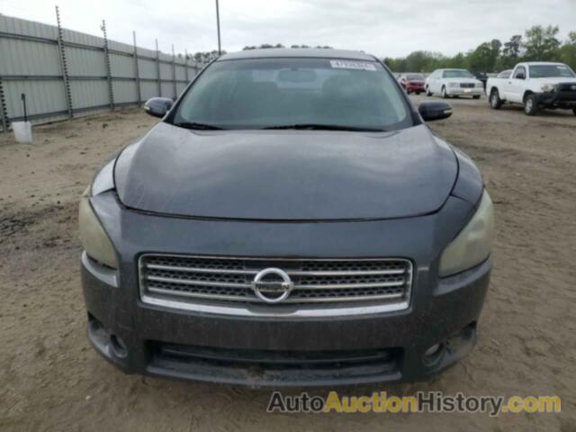 NISSAN MAXIMA S, 1N4AA5AP1CC820302