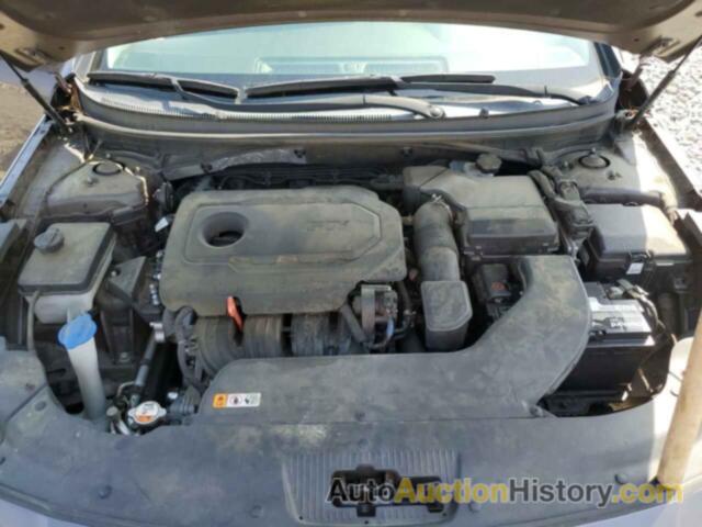 HYUNDAI SONATA SPORT, 5NPE34AF6HH453142