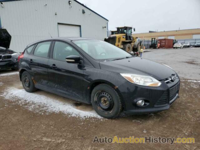 FORD FOCUS SE, 1FAHP3K2XCL351005