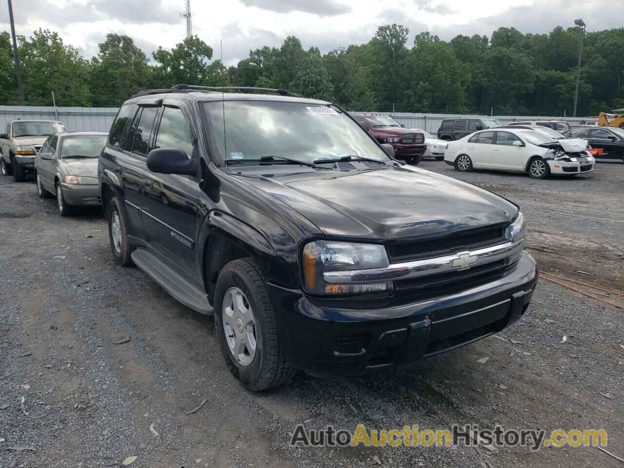 2002 CHEVROLET TRAILBLAZE, 1GNDT13S122433059