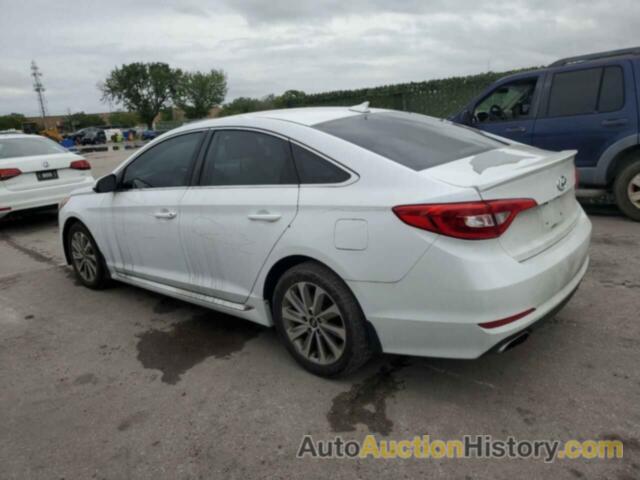 HYUNDAI SONATA SPORT, 5NPE34AF2GH338021