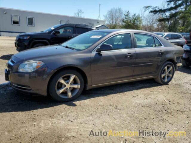 CHEVROLET MALIBU 1LT, 1G1ZC5E10BF314169