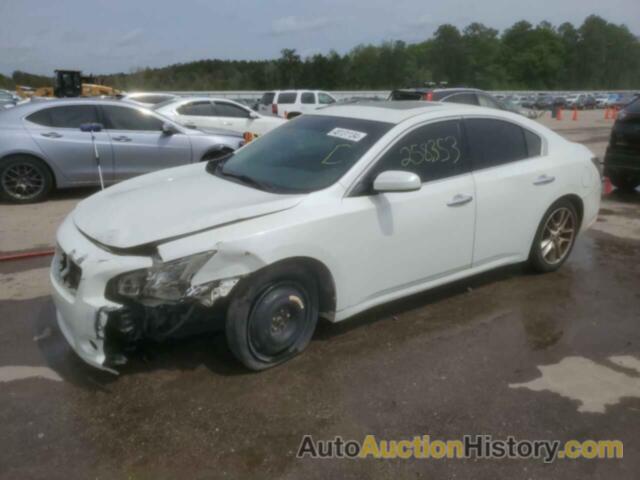 NISSAN MAXIMA S, 1N4AA5AP9DC837205