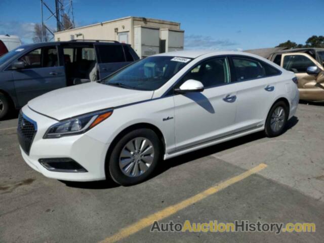 HYUNDAI SONATA HYBRID, KMHE24L12GA012243