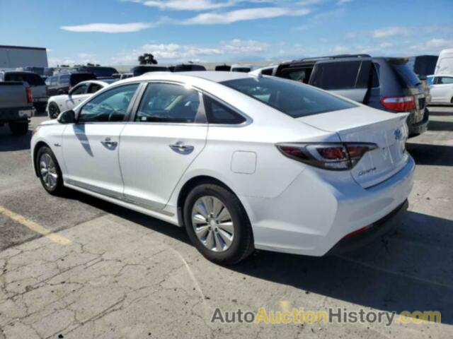 HYUNDAI SONATA HYBRID, KMHE24L12GA012243