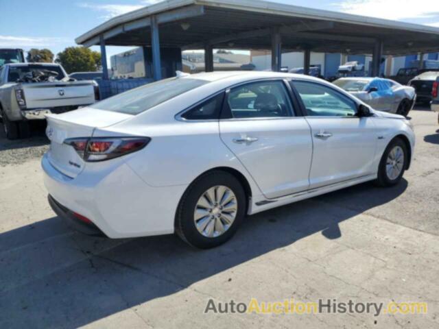 HYUNDAI SONATA HYBRID, KMHE24L12GA012243