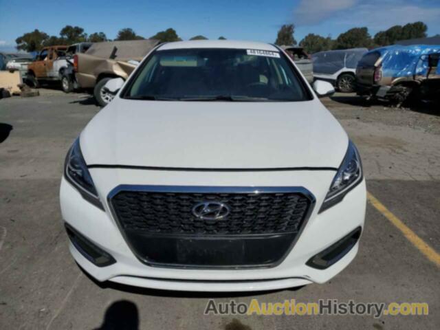 HYUNDAI SONATA HYBRID, KMHE24L12GA012243