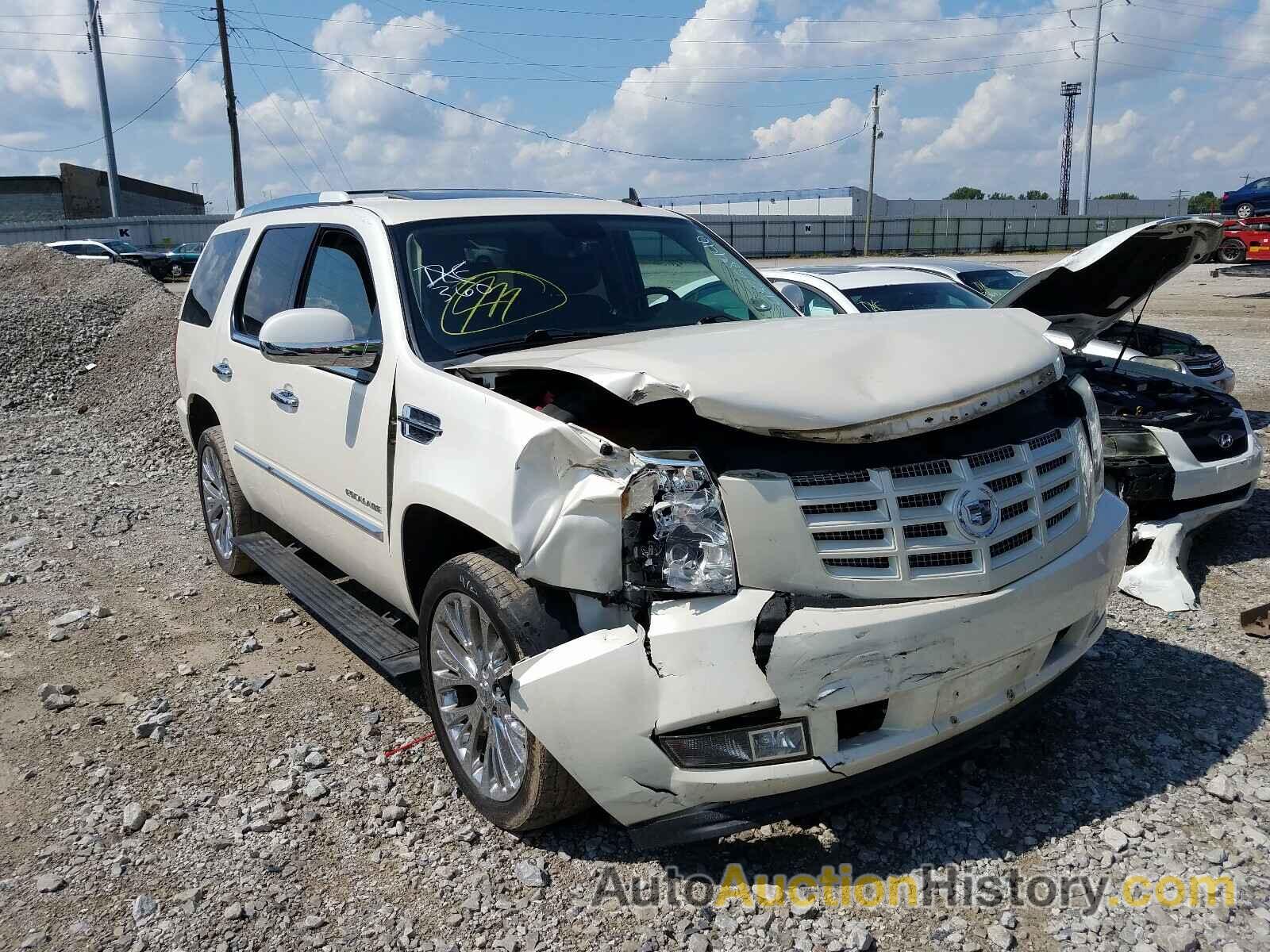 2010 CADILLAC ESCALADE PREMIUM, 1GYUKCEF7AR153346