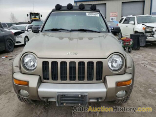 JEEP LIBERTY RENEGADE, 1J4GL38K04W255807