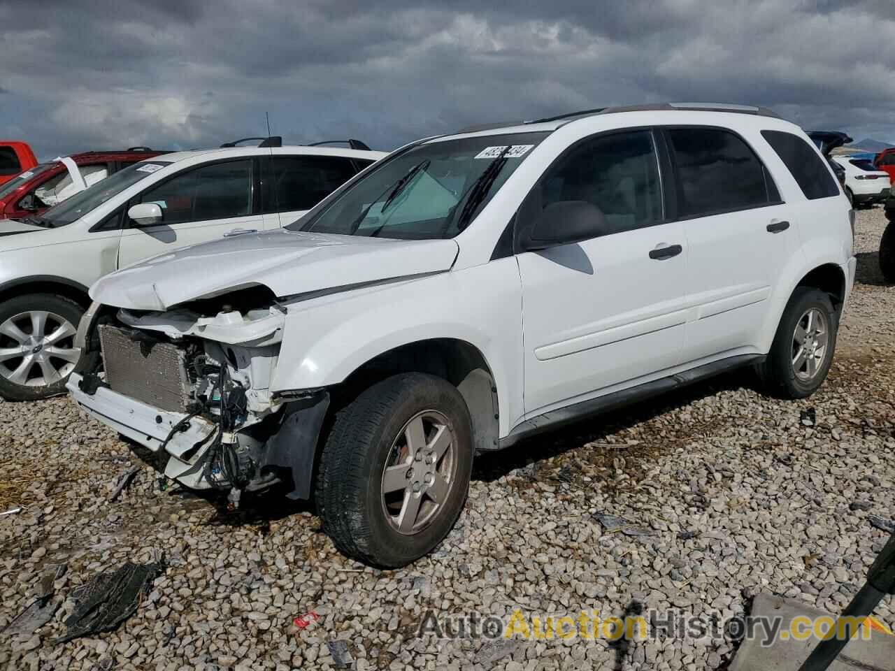 CHEVROLET EQUINOX LS, 2CNDL13F256084783