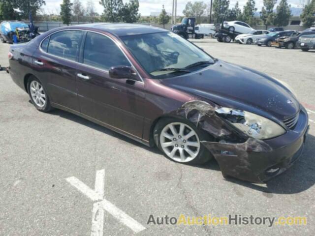 LEXUS ES330 330, JTHBA30G845031508