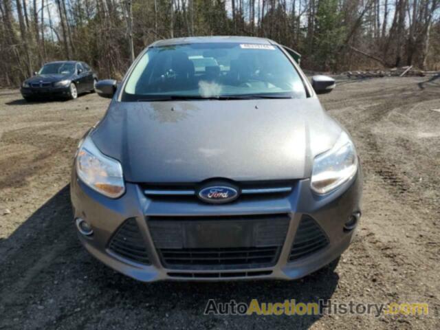 FORD FOCUS SE, 1FAHP3F27CL325858