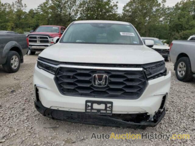 HONDA PILOT EXL, 5FNYG2H55PB006348