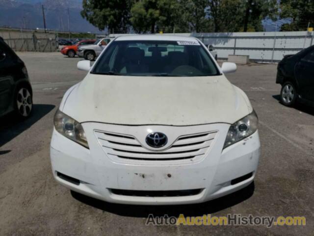 TOYOTA CAMRY BASE, 4T4BE46K69R081295