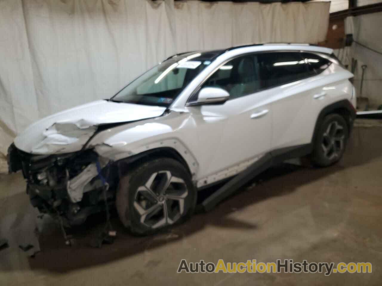 HYUNDAI TUCSON LIMITED, KM8JECA12NU037724