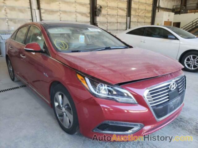 HYUNDAI SONATA HYBRID, KMHE34L19GA029148