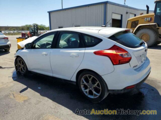 FORD FOCUS SE, 1FADP3K2XEL443989