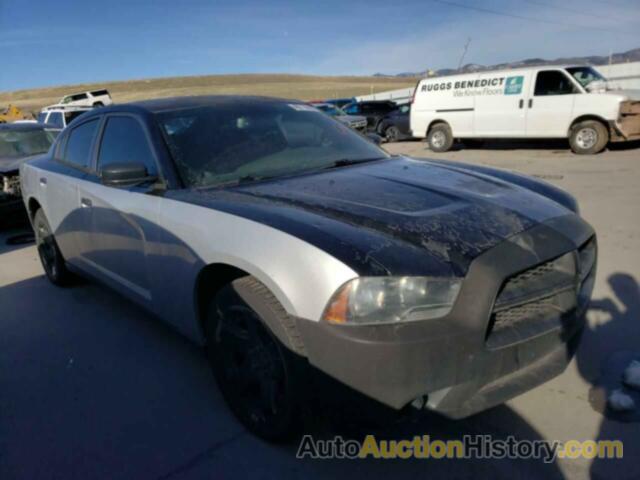 DODGE CHARGER POLICE, 2C3CDXAT3DH677293