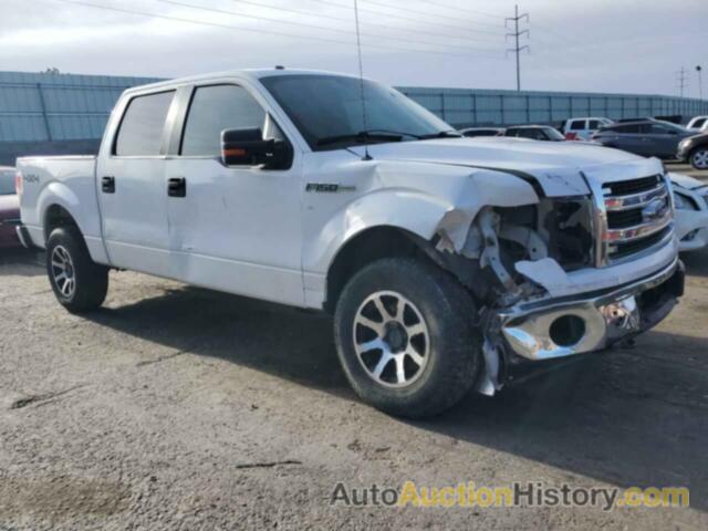 FORD F-150 SUPERCREW, 1FTFW1EF5DFD04326