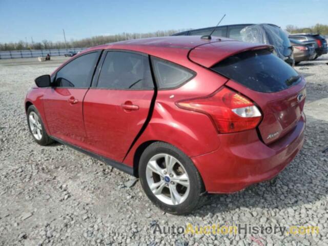 FORD FOCUS SE, 1FAHP3K25CL306960