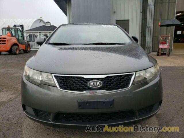 KIA FORTE EX, KNAFU5A24D5727496