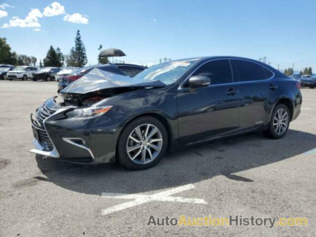 LEXUS ES300 300H, JTHBW1GG8G2121212