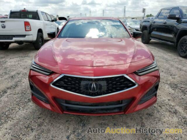 ACURA TLX ADVANCE, 19UUB6F62MA003994