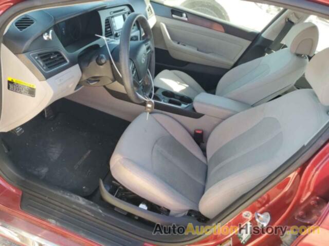 HYUNDAI SONATA SPORT, 5NPE34AF8FH159089