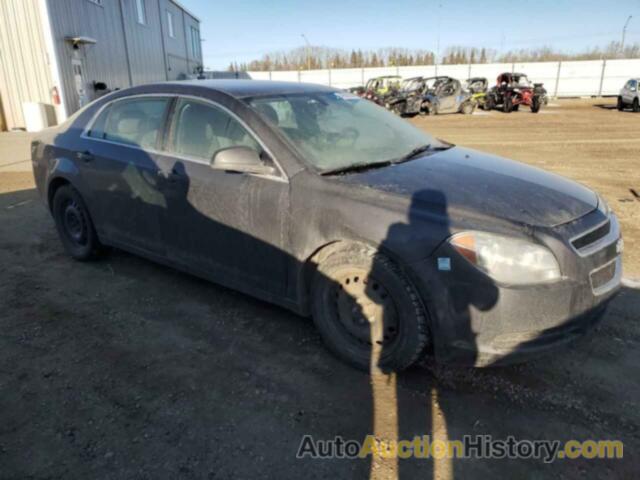 CHEVROLET MALIBU LS, 1G1ZB5EU0BF114177