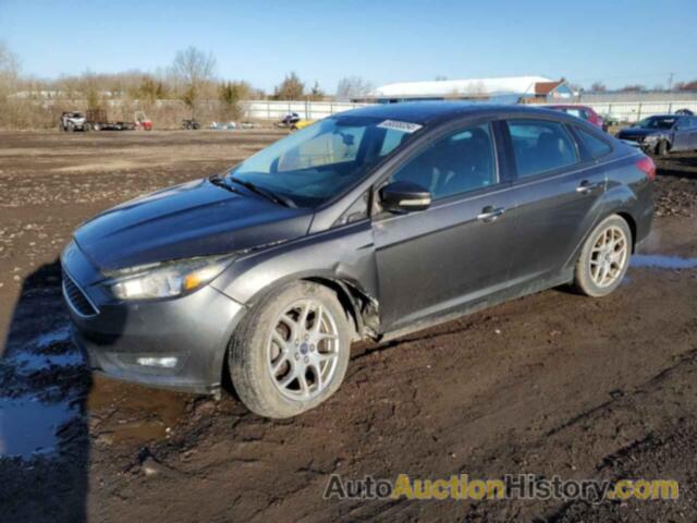 FORD FOCUS SE, 1FADP3F25FL274489